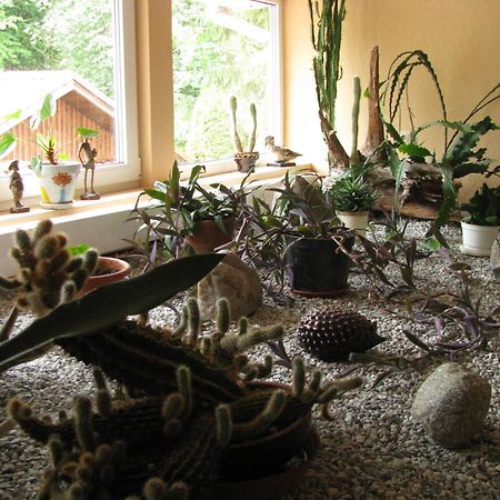 Отель Asmonienes Sveciu Namai "Senoji Mokyklele" Smalininkai Экстерьер фото
